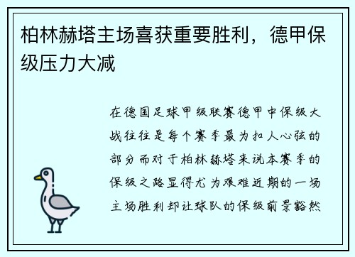 柏林赫塔主场喜获重要胜利，德甲保级压力大减
