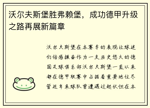 沃尔夫斯堡胜弗赖堡，成功德甲升级之路再展新篇章