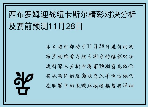 西布罗姆迎战纽卡斯尔精彩对决分析及赛前预测11月28日